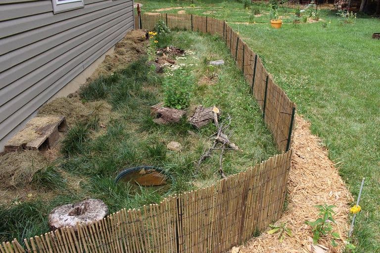 tortoise enclosure